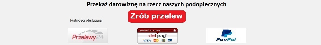 Przejdź do darowizny Przejdź do darowizny